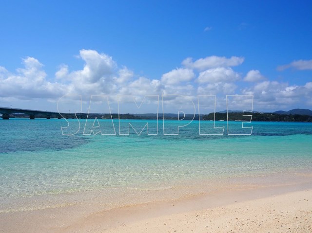 青空と綺麗な海