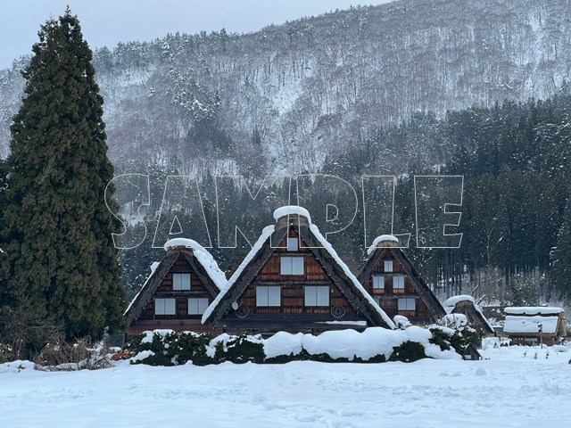 東北雪模様