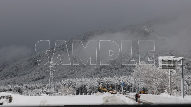 雪にまみれる