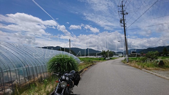 風薫る夏模様